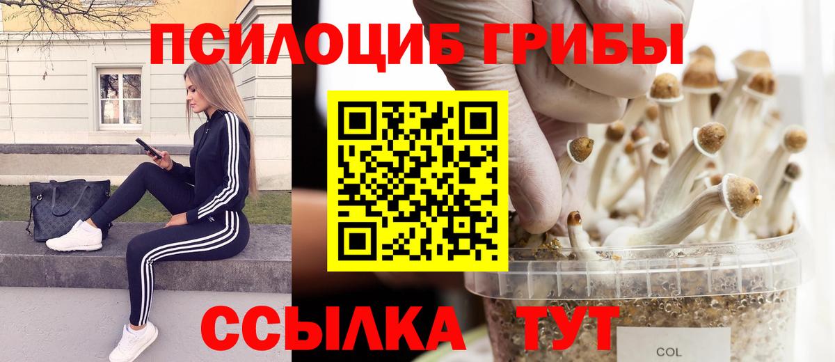 хочу наркоту  Вход с VPN  Казань  Галлюциногенные грибы ЛСД  Псилоцибиновые грибы Psilocybe 