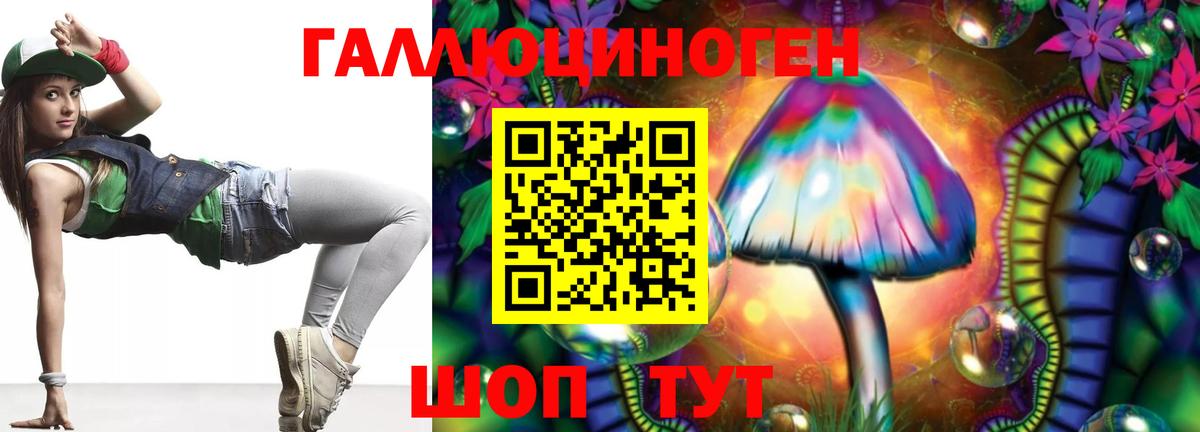 Псилоцибиновые грибы Cubensis Казань