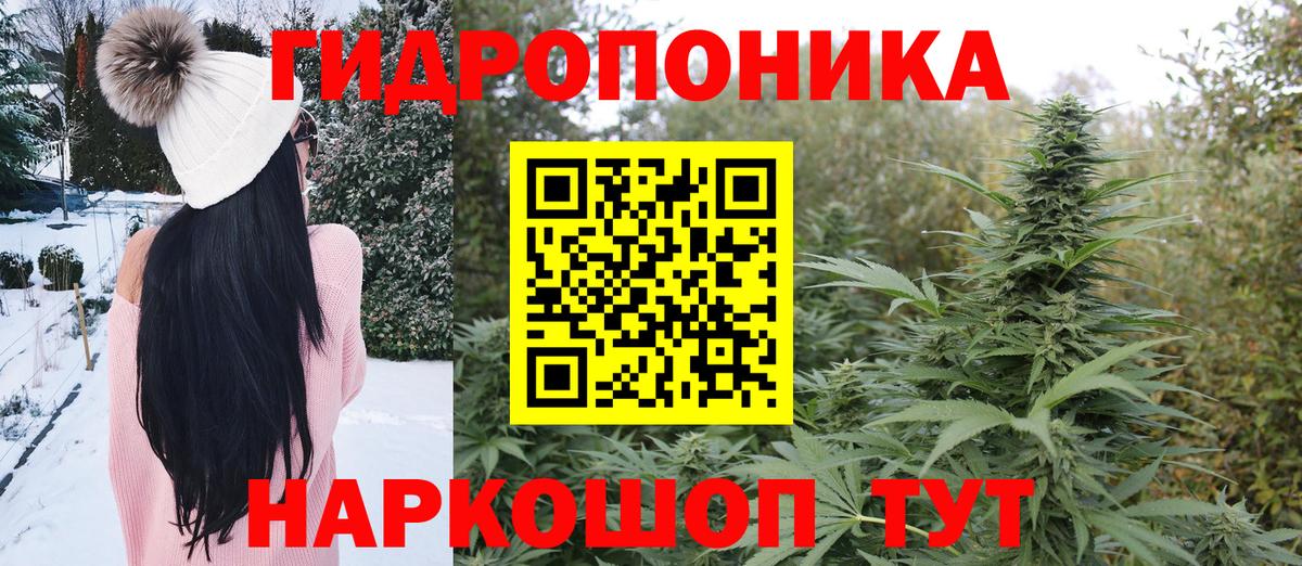 Шишки марихуана планчик  Вход с VPN  Бошки марихуана Amnesia  Казань  Конопля марихуана 